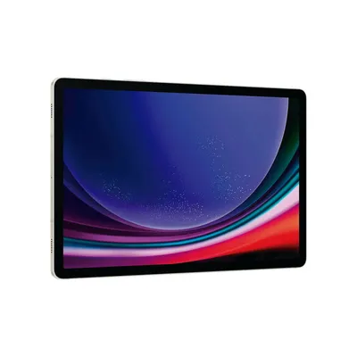 Samsung Galaxy Tab S9  12 GB - 256 GB